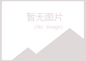 石河子忆山化学有限公司